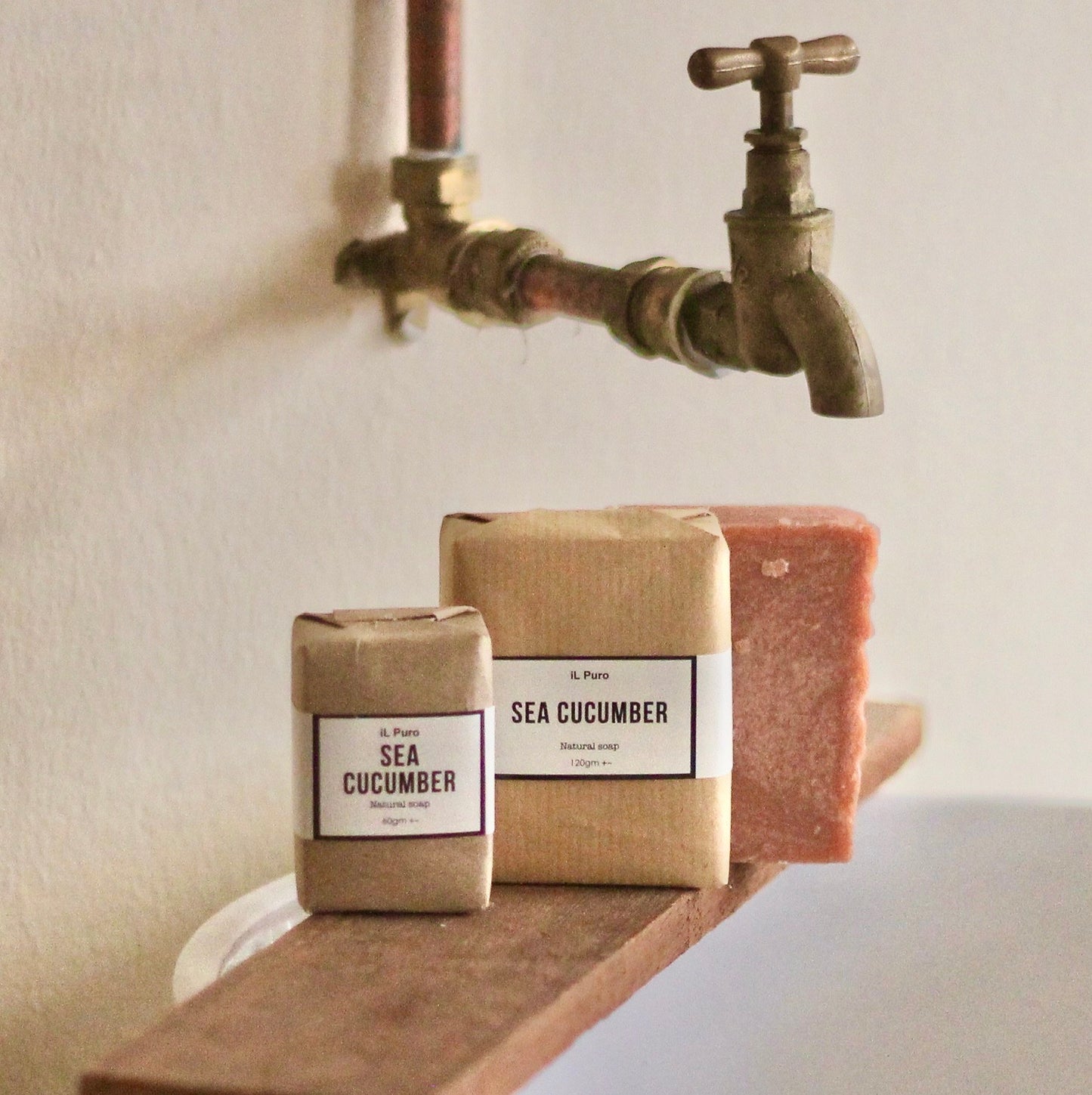 Sea Cucumber Soap